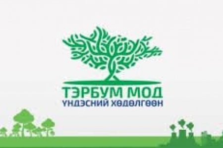 Тэрбум мод: Хаана тарих вэ, ямар урамшуулал авах вэ?