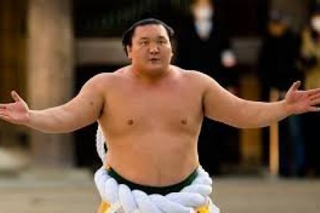 Хакухо М.Даваажаргал Монголын иргэншлээс татгалзжээ