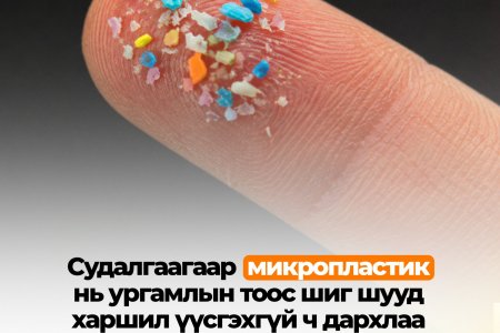 Хуванцар харшил үүсгэдэг үү? 