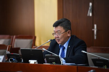Н.Энхболд: Үндсэн хуулийн нэмэлт, өөрчлөлтийг алгуурлавал Монгол Улс л хохирно