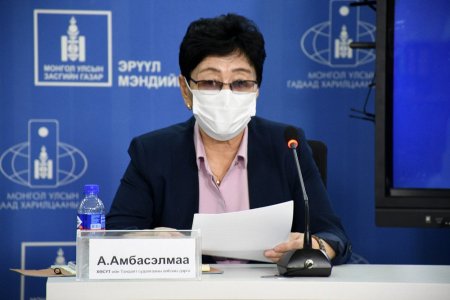 А.Амбасэлмаа: 10308 хүнд шинжилгээ хийхэд 7 хүнээс коронавирус илэрлээ