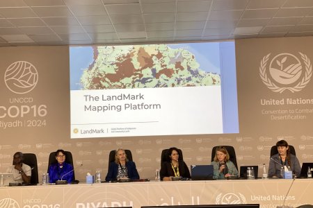 Presentation on the experience of developing rangeland monitoring system to improve rangeland management in Mongolia 