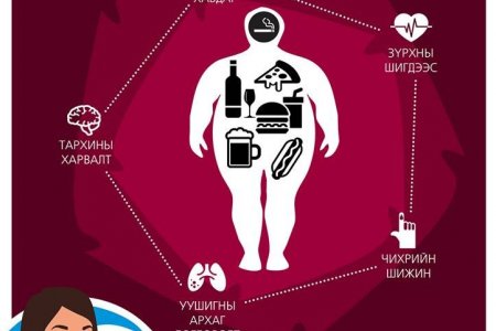 НЭМҮТ: Халдварт бус өвчин гэж өөрөө өөртөө өвчин бэлэглэхийг хэлнэ