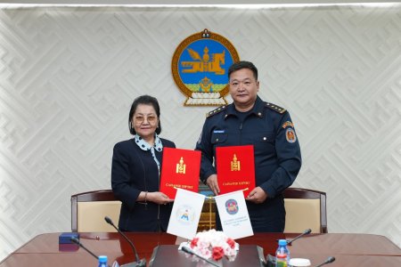 ШҮҮХИЙН ШИЙДВЭР ГҮЙЦЭТГЭХ ЕРӨНХИЙ ГАЗАРТАЙ  ХАМТРАН АЖИЛЛАХ ГЭРЭЭНД ГАРЫН ҮСЭГ ЗУРЛАА