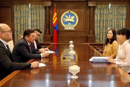 М.Энхболд тайван жагсаалыг зохион байгуулсан залуу ээжүүдтэй уулзлаа