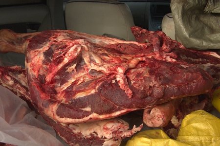 Нийслэлд мах зах зээлийн ханшаас 1000-2000 төгрөгийн үнэтэй худалдаалагдаж байна
