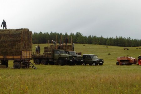 Улсын хэмжээнд 1 сая тонноос дээш хадлан бэлтгэх боломжтой гэж үзэж байна
