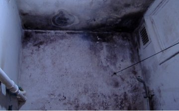 10  жилийн турш оршин суугчид хөгц, мөөгөнцөртэй орчинд амьдарч байна
