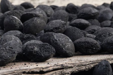 Барьцалдуулагч бодисын импорттой холбоотойгоор сайжруулсан шахмал түлшний нөөцийн хомсдол үүсэхгүй