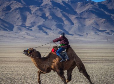 戈壁之旅(蒙古南部)