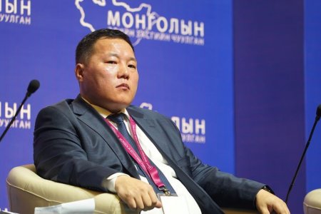 Дотоод ардчиллаа нухчин дарсан О.Цогтгэрэл АН-ыг төлөөлж чадахгүй гэж гишүүд нь үзжээ