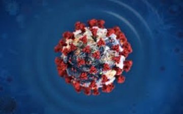 Дэлхий дахинд 