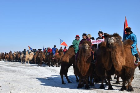 ГОВИЙН БҮСИЙН ТЭМЭЭЧДИЙН БАЯР ЖИНСТ СУМАНД БОЛЛОО 