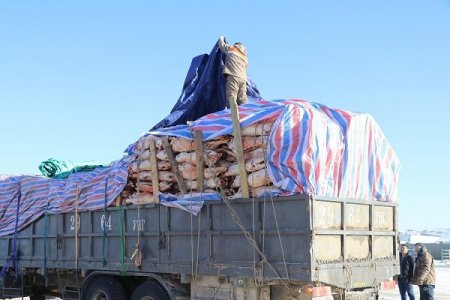 ШӨХТГ-аас МАХНЫ ҮНЭ ӨССӨН шалтгааныг нэрлэлээ