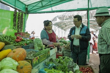 Хүнсний ногоо, жимс жимсгэнээс дээж авч шинжлэхэд 99.8 хувь нь шаардлага хангав