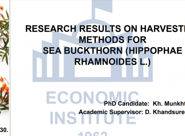 RESEARCH RESULTS ON HARVESTING METHODS FOR SEA BUCKTHORN (HIPPOPHAE RHAMNOIDES L.)