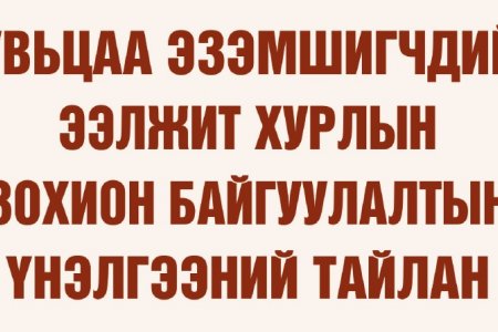 Хувьцаа эзэмшигчдийн ээлжит хурлын зохион байгуулалтын үнэлгээний тайлан