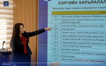 ЭДИЙН ЗАСАГ, ХӨГЖЛИЙН ЯАМ БОЛОН ХӨГЖЛИЙН БАНКНЫ АЛБА ХААГЧДАД 