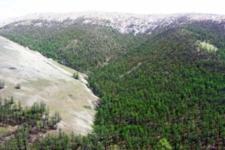 ЗГ: Ноён уул орчмын газрын тусгай хамгаалалтыг өргөтгөж, дархан цаазтай болгоно  