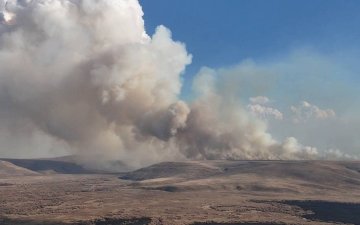 Нөмрөгийн дархан цаазат газрын түймэрт 468 965 га талбай өртжээ