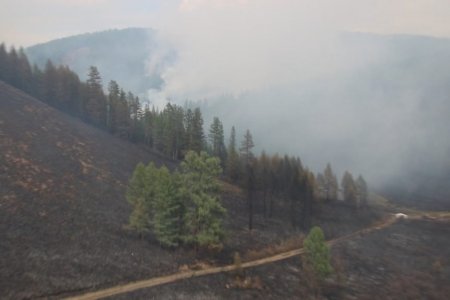 Он гарсаар 62 удаагийн ой, хээрийн түймэр гараад байна