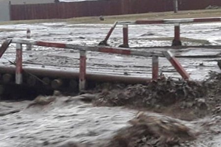 ОБЕГ: Гол, усны ослоос урьдчилан сэргийлээрэй 