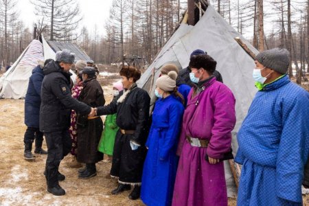 Цаа бугыг зургаа дахь хошуу мал болгож, малчин өрхөд тооцогдох хүсэлтээ илэрхийлэв