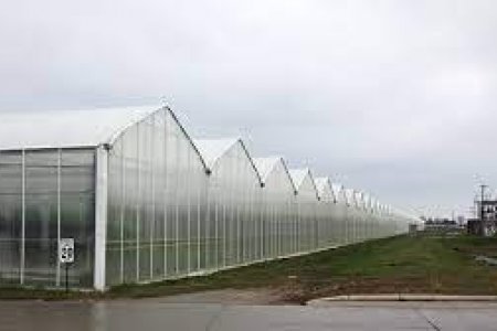 Канад улс 2030 он гэхэд нүүрстөрөгчийн давхар ислийн ялгарлыг 40 хувиар бууруулна