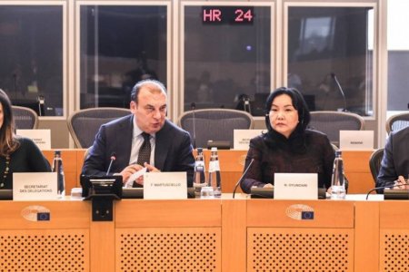 УИХ, Европын парламентын XIII уулзалтад УИХ-ын гишүүн Н.Оюундарь тэргүүтэй төлөөлөгчид оролцов