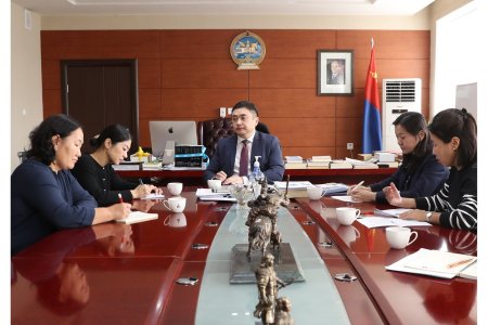 ДОТУУР БАЙРАН ДАХЬ ХҮҮХЭД ХАМГААЛЛЫН АСУУДЛААР НҮБ-ЫН ХҮҮХДИЙН САНТАЙ ХАМТРАН АЖИЛЛАХААР ЯРИЛЦАВ