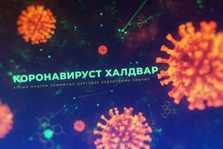 Коронавируст халдварын цар тахлын талаар эрдэмтдийн тайлбар