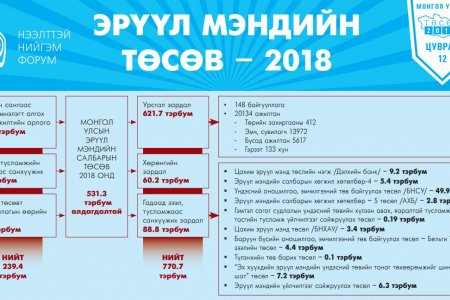 Эрүүл мэндийн төсөв 2018