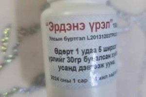 ЭРДЭНЭ ҮРЭЛ