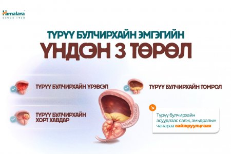Эрчүүдийн заавал унших мэдээлэл: ТҮРҮҮ БУЛЧИРХАЙН ЭМГЭГ