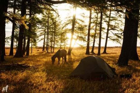 Vom Khuvsgul-See bis in die Wüste Gobi: Ritt durch die Mongolei