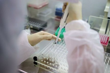 Францын иргэнтэй ойр байсан 207 хүний шинжилгээний хариу сөрөг гарчээ