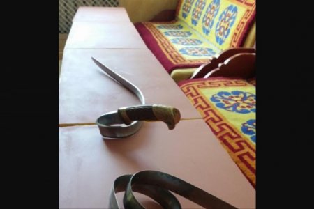 Сэлэм гаргаж зодолдсон найман залууг шалгаж байна