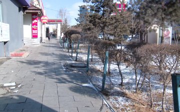 ААН-үүд ойр орчны 50 метр талбайгаа цэвэрлэсэн тохиолдолд урамшуулал үзүүлнэ