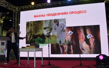 С.Дивангар: Монгол малын махыг “эко” гэдгийг олон улсын зах зээлд харуулна