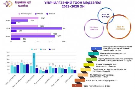 2025 оны статистик тоон мэдээлэл 