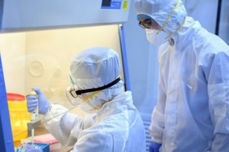 ЭМЯ:  940 хүнээс коронавирус илэрч, 12 хүн нас барлаа