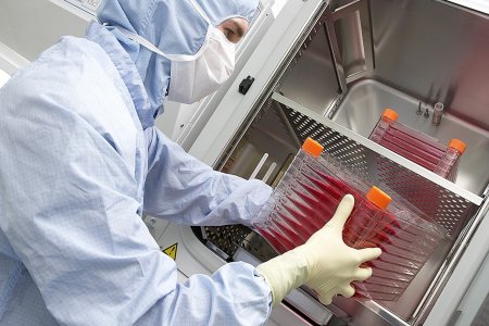 Эрхтэн шилжүүлэх нас 25 байсныг 21 болгон өөрчлөх хуулийн төслийг өргөн барилаа