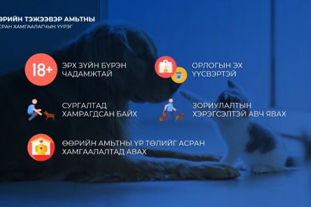 Гэрийн тэжээвэр амьтныг асрахад  орлогын эх үүсвэртэй байх, нохой муурын асран хамгаалагчийн сургалтад хамрагдсан байх шаардлагатай