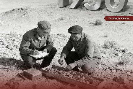 НЭГЭН ЖАРНЫ ТҮҮХЭН ТОВЧООН