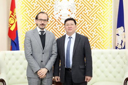 Олон улсын шилжилт хөдөлгөөний байгууллагын төлөөлөлтэй уулзав