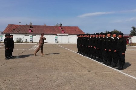 Цэргийн дүйцүүлэх албаны тусгай үүргийн бэлтгэл шатны cургалт явагдаж байна