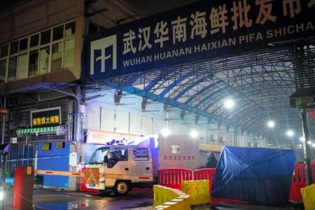 Коронавирусийн халдвар авсан иргэн Япон улсад бүртгэгдлээ