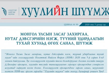 МОНГОЛ УЛСЫН ЗАСАГ ЗАХИРГАА, НУТАГ ДЭВСГЭРИЙН НЭГЖ, ТҮҮНИЙ УДИРДЛАГЫН ТУХАЙ ХУУЛЬД ӨГӨХ САНАЛ, ШҮҮМЖ