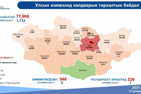 2642 шинэ тохиолдол бүртгэгдэж, 11 хүн нас барлаа
