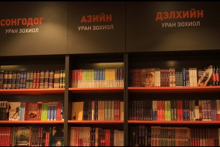 Иргэд: Орчуулгын бүтээлд найруулга зүй, үг үсгийн алдаа их гардаг нь номын агуулгыг бүрэн ойлгоход хүндрэл учруулдаг